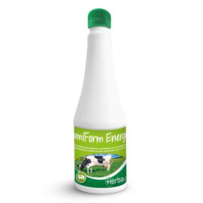 RumiForm Energy | Herbavita Products