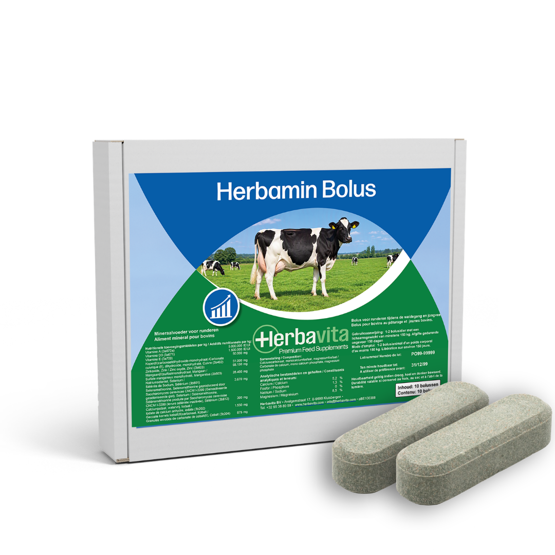 Herbamin Bolus | Herbavita Products
