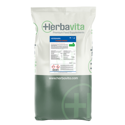 Herbamin Power Green | Herbavita Products