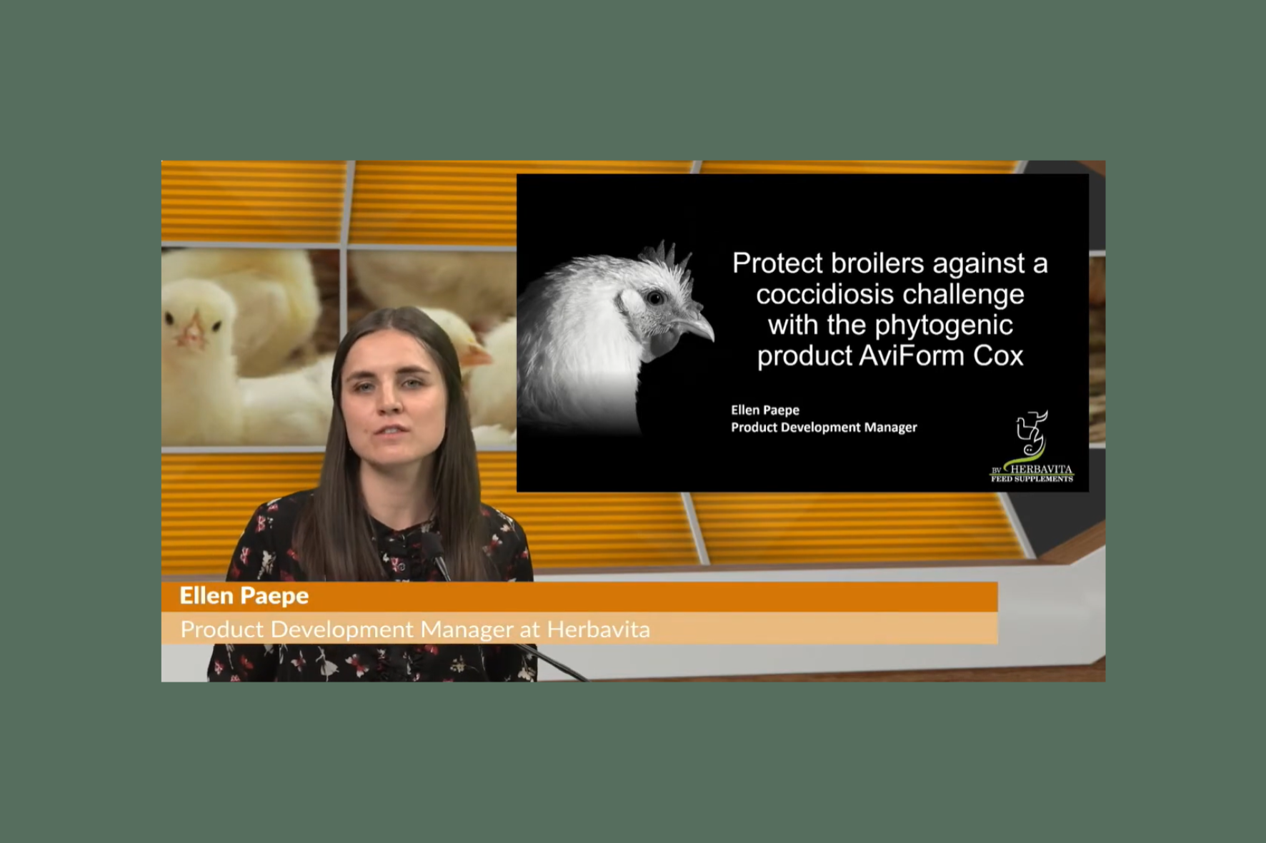 Webinar Poultry World: Protect broilers against a coccidiosis challenge with AviForm Cox | Herbavita