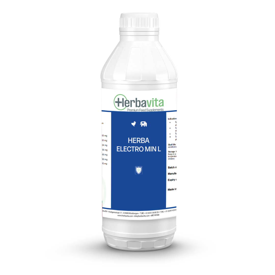 Herba Electro Min L | Herbavita Products