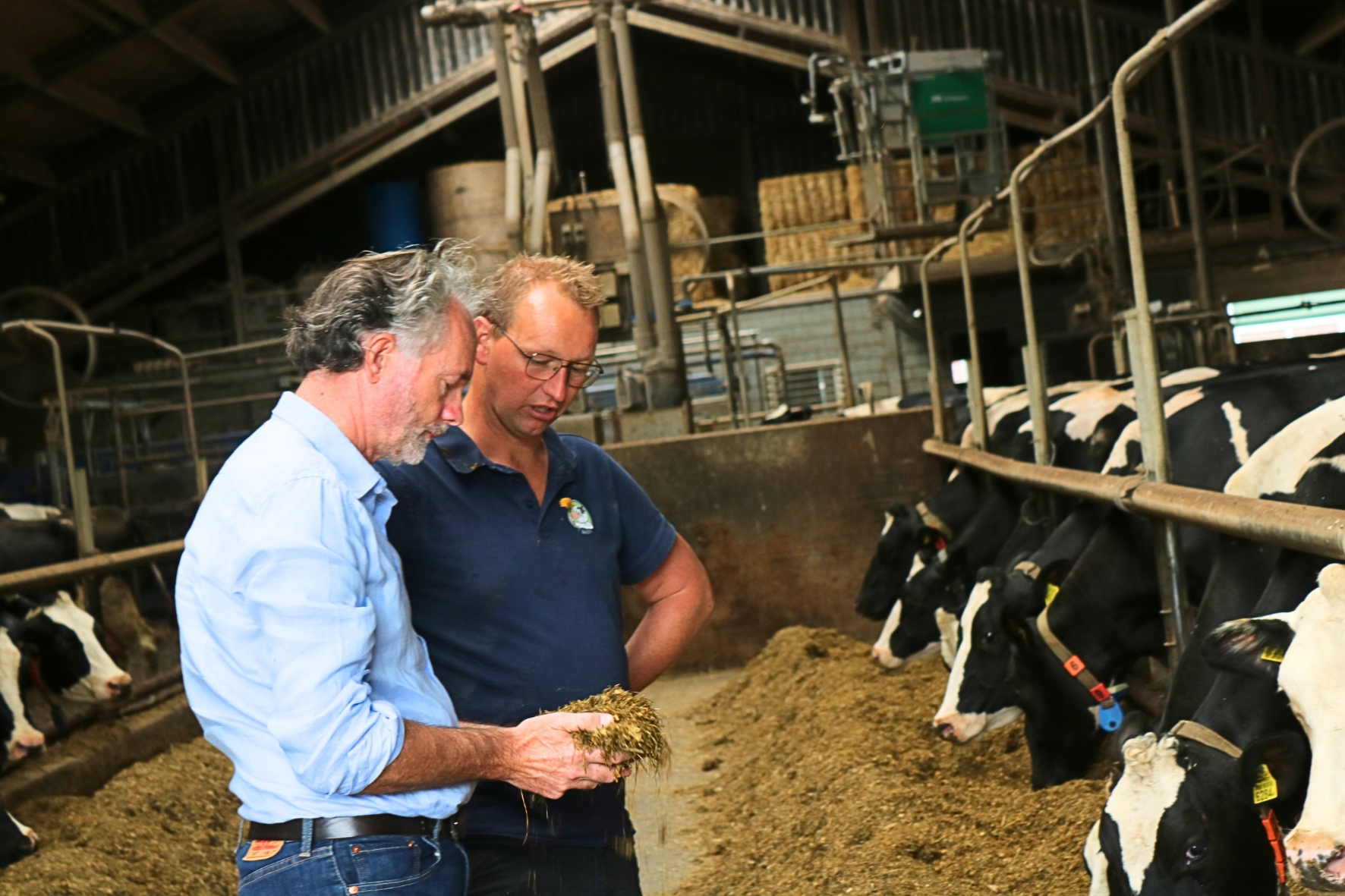 Sterke klauwen en maanden zonder mastitis | Herbavita